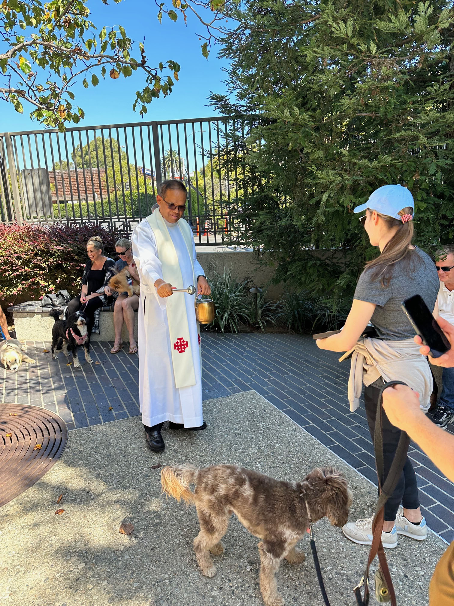 Blessing of the Animals pictures 2023