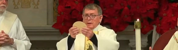 Mass Assignment Top Banner